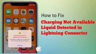 Liquid has been Detected in Lightning Connector on iPhone 11 Pro Max, XS Max, XR, X in iOS 14