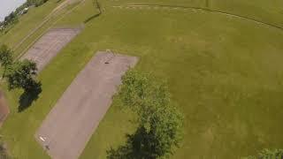 Soaring Over Trees - 4k