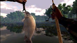 Fishing Planet в 2023 году на PS 4. Начало пути. Исследование Лоун Стар II. Малоротый Буффало