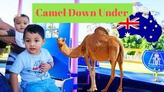 BUHAY SA AUSTRALIA: We found a Camel | PLAYGROUND FUN | MILDURA | FAMILY VLOG