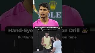 Hand-Eye coordination is  #tennis #training# Alcaraz #reflex #volley #focus #ATP #fitness #WTA