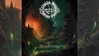 Those Who Bring the Torture (Intl) - Towards Decay (Album 2023)