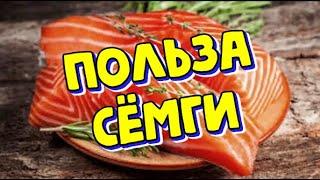 Сёмга - польза и вред для организма человека