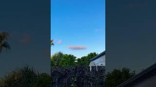 Little majestic solo cloud ️