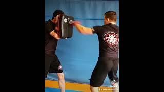 Peter Mettler Martial Arts Training