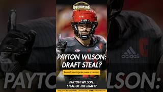 Did the Steelers get a steal drafting Payton Wilson?