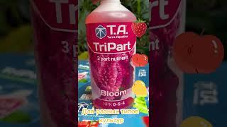 Удобрение TriPrat Bloom Terra Aquatica. Для гидропоники, земли и коковолокна.