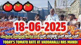 VADDAHALLI LIVE AUCTION TODAY AT NRS MANDI KARNATAKA