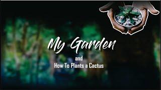 MY GARDEN "and How to plant a Cactus" | FAIRUZ TSUROYA