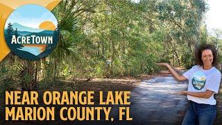 Cheap Florida Land For Sale Near Ocala | Road Access | Power Available | 2.27 acres