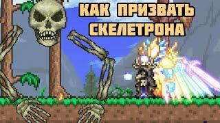 Как призвать скелетрона в Terraria!