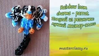 Rainbow loom charms - parrot.  Попугай из резиночек: лучший мастер-класс