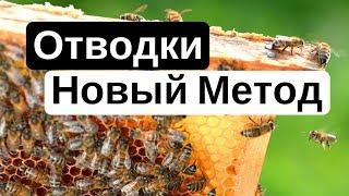 Пасека #18 Как сделать отводок пчел (Пчеловодство) - новое Пчелиный эксперимент 2 ( Новый Метод )