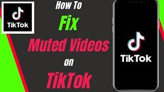 How To Fix Muted Video On TikTok 2024