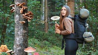 Solo trip with Canvas Hot tent in the mushroom woods | Wild camping, cooking, bushcraft skills, ASMR