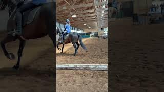 He was zooming! #horse #equestrian #fyp #horserider #saddleseat #horse #horsey #eq #equestrianedit
