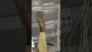 MCB Connection DB Dressing #electricalwork #homeelectrical #electricityconnection #mcbconnection