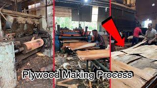 Plywood Making Process || Amazing Wood peeling Machine 🪵|| Saw Mill Plywood Working ||