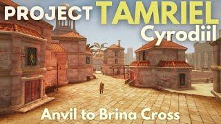 Project Tamriel Abecean Shores: Walk from Anvil to Brina Cross | QnA with Dev