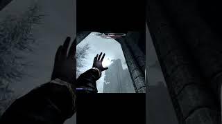 teamwork: key to any good battle #skyrim #elderscrolls #skyrimae #games #videogameseries #gamer