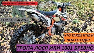 ТРОПА ЛОСЯ ИЛИ 1001 БРЕВНО. ОТЗЫВ О KTM EXC250 2013.ПРОБЛЕМКИ