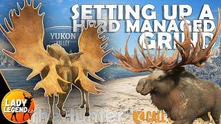 Set-Up a HERD MANAGED Grind for ANY SPECIES (feat. Yukon Moose)!!! - Call of the Wild