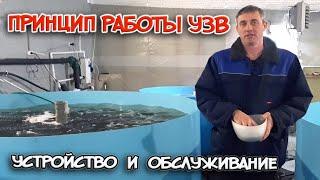 ПРИНЦИП РАБОТЫ эффективного УЗВ. УСТРОЙСТВО и ОБСЛУЖИВАНИЕ моего УЗВ.