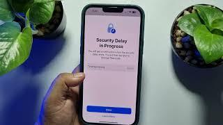 How to Remove Security Delay in iPhone? iOS 18