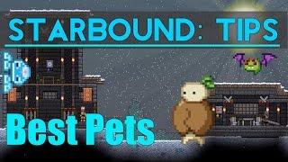 Starbound Tips: Best Pets