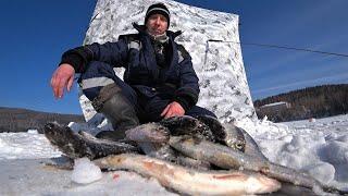 РЫБАЛКА НА РИПУСА в Качканаре. Весна не спешит вступать в свои права, глухозимье продолжается!