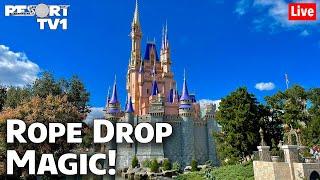 Live: Rope Drop Magic with Jenna - Magic Kingdom Live Stream | Walt Disney World