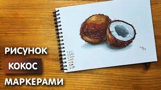 Как нарисовать кокос карандашом и скетч маркерами | Рисунок для детей, поэтапно и легко