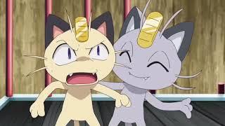 Meowth de alola le pisa la cola a meowth