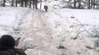 Кабан напал на охотников/wild boar attack hunter