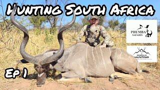 Hunting Kudu & Impala, Limpopo Episode 1 of hunting South Africa #phumbasafaris Zebra's Adventures