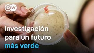 Bioplástico: Innovaciones contra el cambio climático | DW Documental