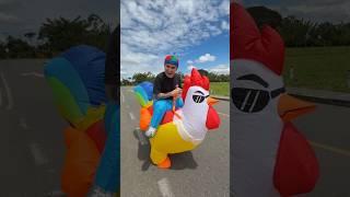 El gallo de mini Federico 