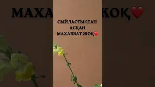 Сыйластықтан асқан махаббат барма. Өмір туралы нақыл сөздер