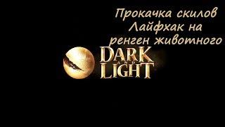 Dark and Light Как правильно качать скилы?