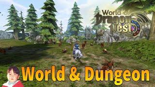 World of Dragon Nest (CBT) พาชม Open World และ Dungeon !!