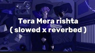 Tera Mera rishta ( slowed x reverbed ) |mustafa Zahid | zamina  | ( LYRICS )