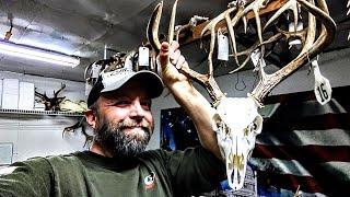 Make those EUROPEAN MOUNTS shine! (SIMPLE skull whitening) ***SUPER EASY*** WHITETAIL TAXIDERMY!