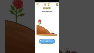 Brain Blow Level 219 | Brain Blow Reach the flower Answer