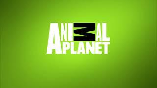 Animal Planet (Canada)/Merit Motion Pictures (2017)