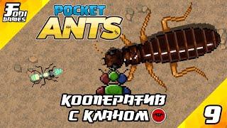 POCKET ANTS #9 - КООПЕРАТИВНАЯ БИТВА С КЛАНОМ В ГНЕЗДЕ ТЕРМИТОВ