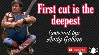 First cut is the deepest - Covered by Andy Gabino