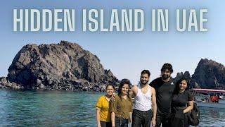 Hidden Island in UAE: Shark Island Adventure ️ | Vlog | Vikas Pandey