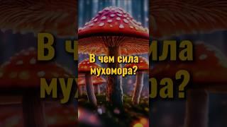 Как работает мухомор #мухомор #биохакинг #гормоны