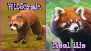 WildCraft skins in real life (transformations)