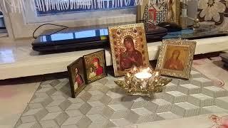 Запишите-пригодятся эти слова‼️️
